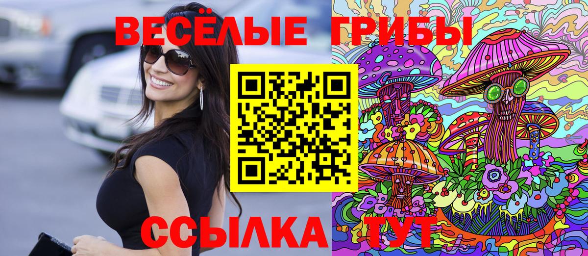 Псилоцибиновые грибы Psilocybine cubensis Трёхгорный